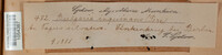 Bulgaria inquinans image